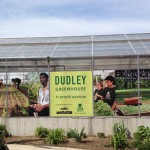 FowlerPhoto_Greenhouse_resized